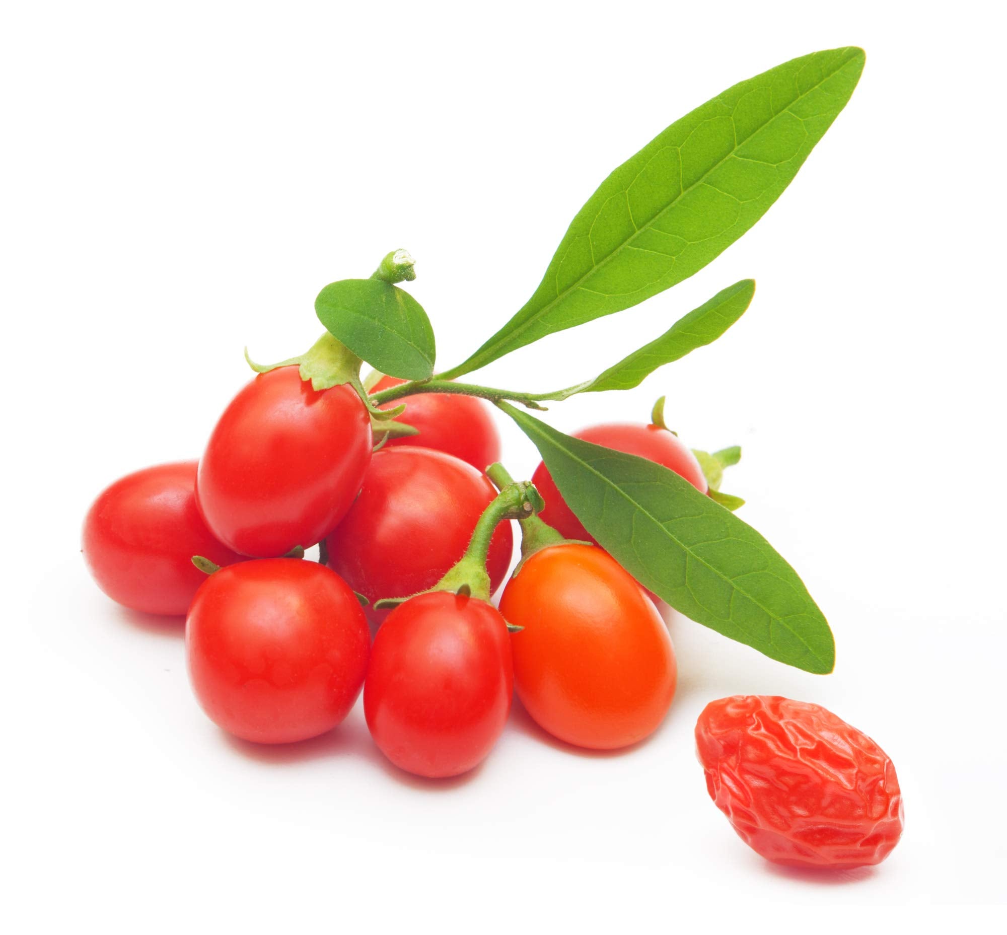 Earthcare Seeds Tibetan Goji Berry seed envelope for easy planting.
