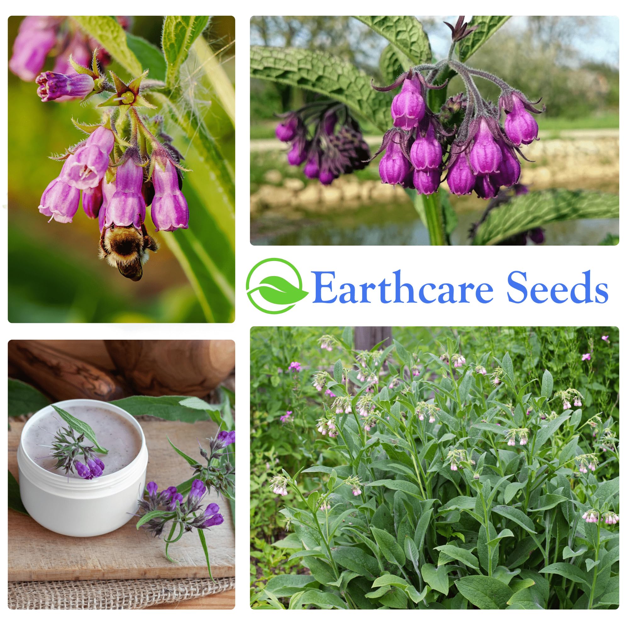 Earthcare Seeds True Comfrey packet includes growing instructions and a plant photo.