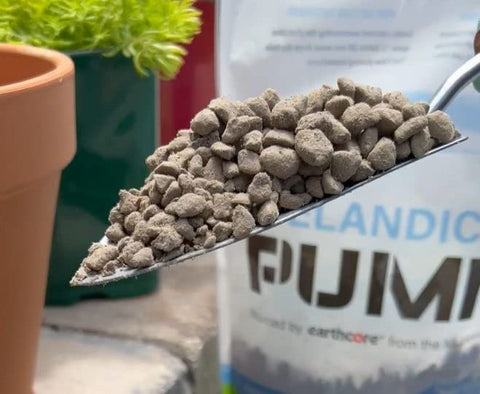 Close-up of porous Icelandic pumice texture highlighting aeration