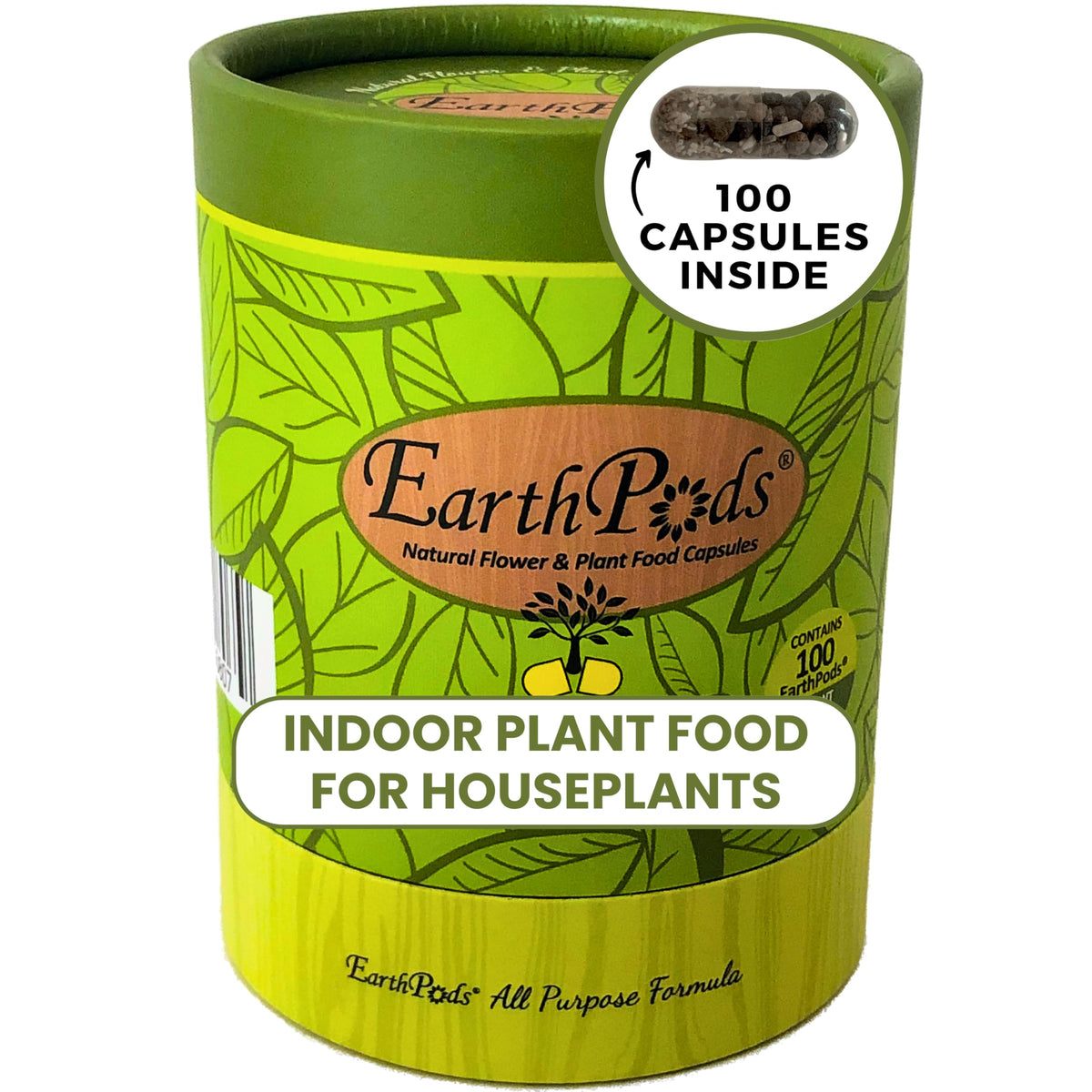 EarthPods capsules near root deliver steady nutrition for thriving houseplants.