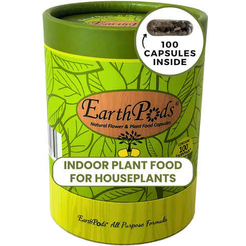 EarthPods capsules near root deliver steady nutrition for thriving houseplants.