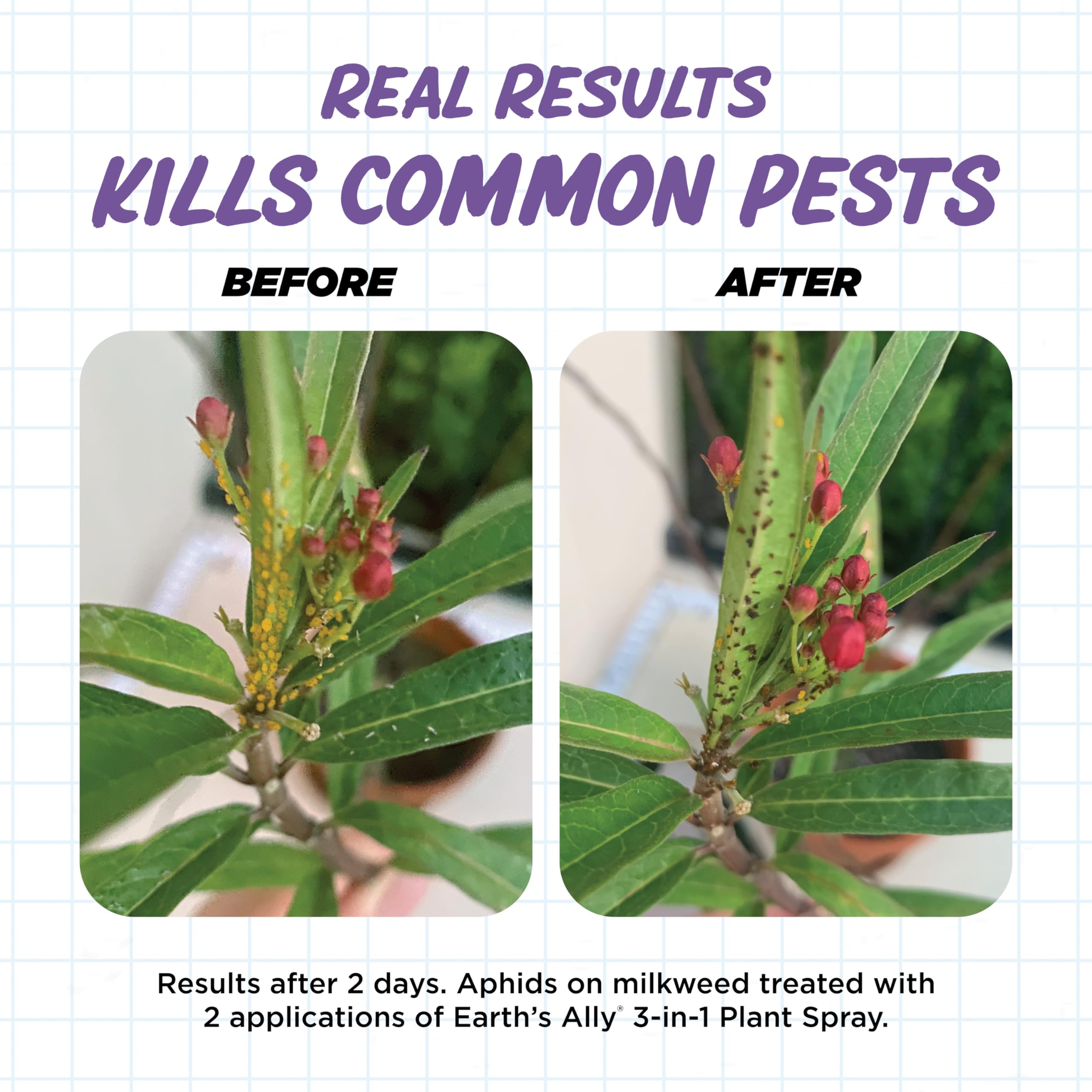 Earth's Ally 3-in-1 Plant Spray label highlighting components.