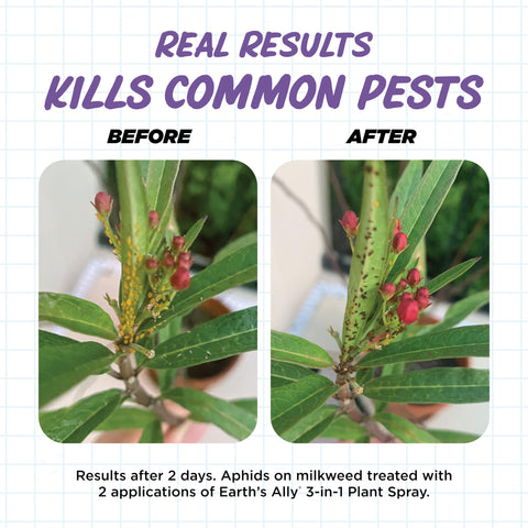 Earth's Ally 3-in-1 Plant Spray label highlighting components.