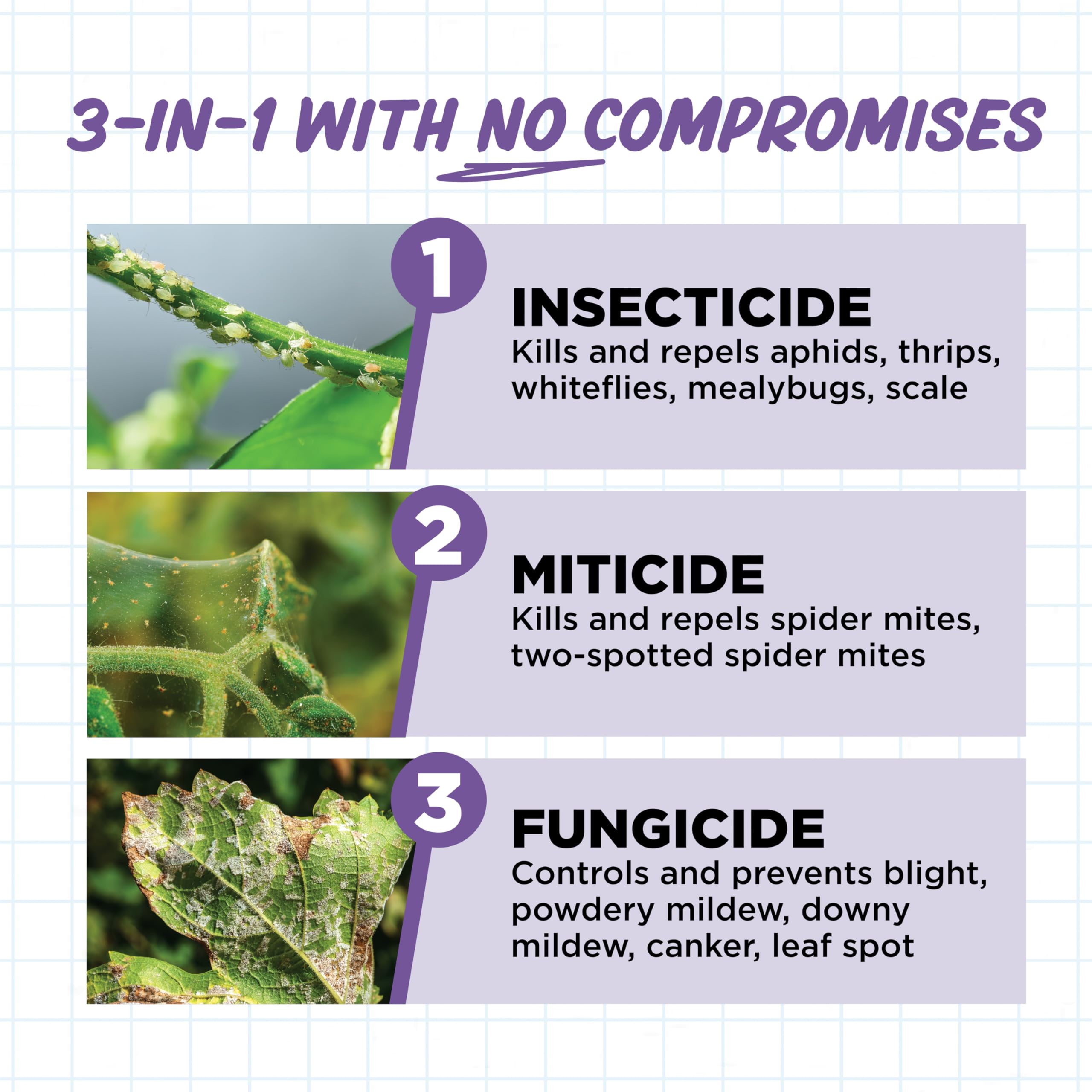 Earth's Ally 3-in-1 Plant Spray on leaves for healthy appearance.