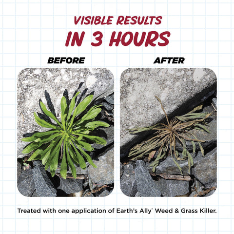 Earth's Ally weed killer being applied to driveway for quick results