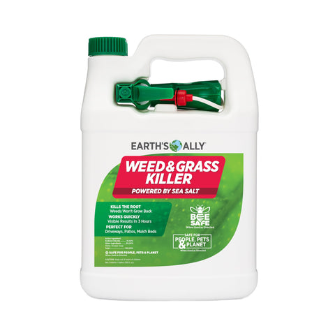 Earth's Ally weed killer spray on patio targeting weeds to the root