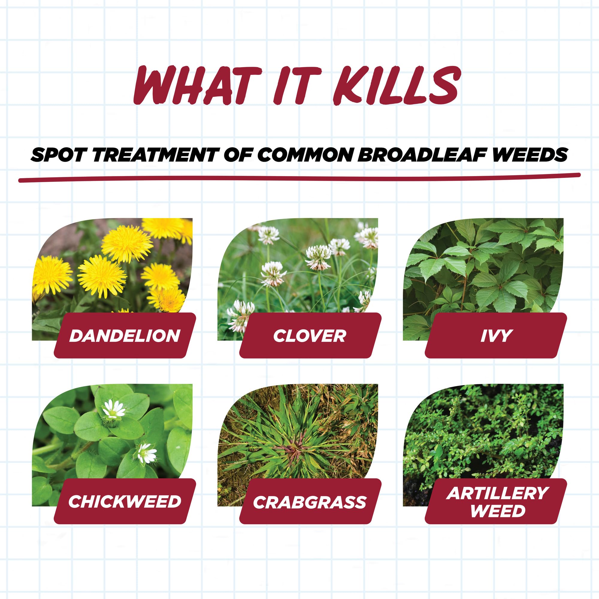 1-gallon bottle of Earth's Ally grass and weed killer for home use