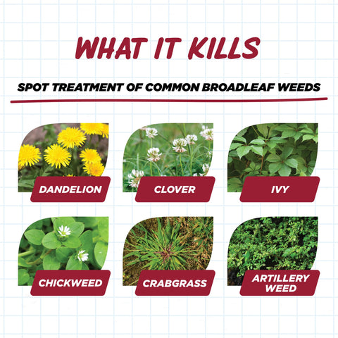 1-gallon bottle of Earth's Ally grass and weed killer for home use