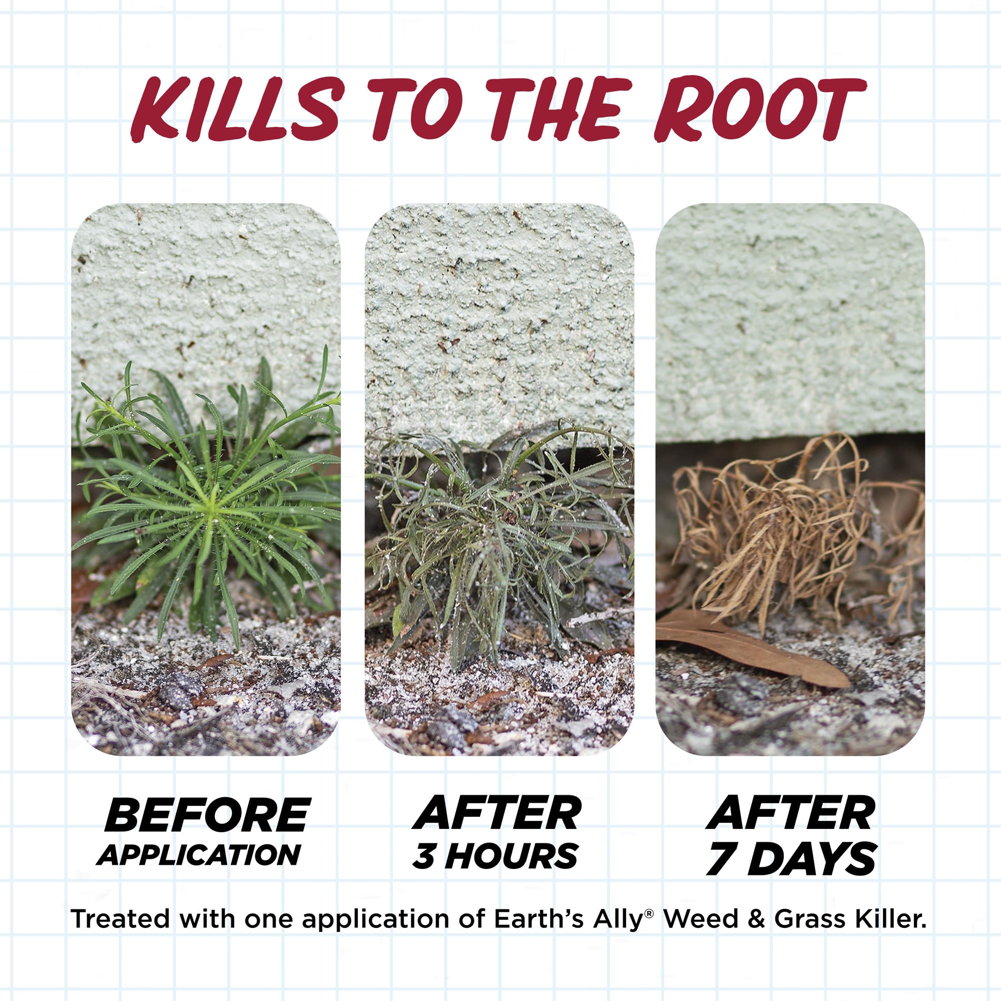 Pollinator-safe Earth’s Ally formula used around garden edges