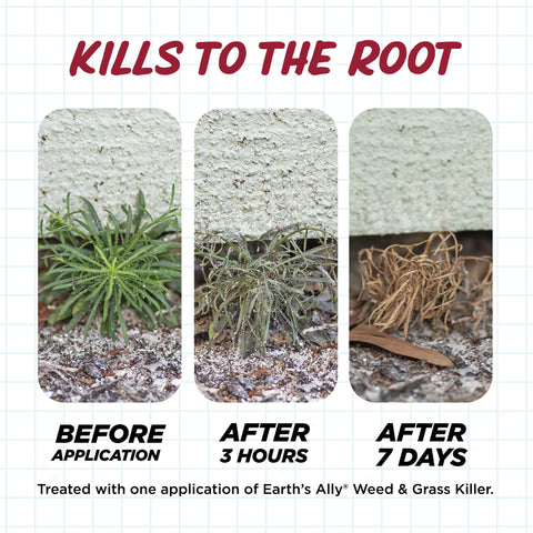 Pollinator-safe Earth’s Ally formula used around garden edges
