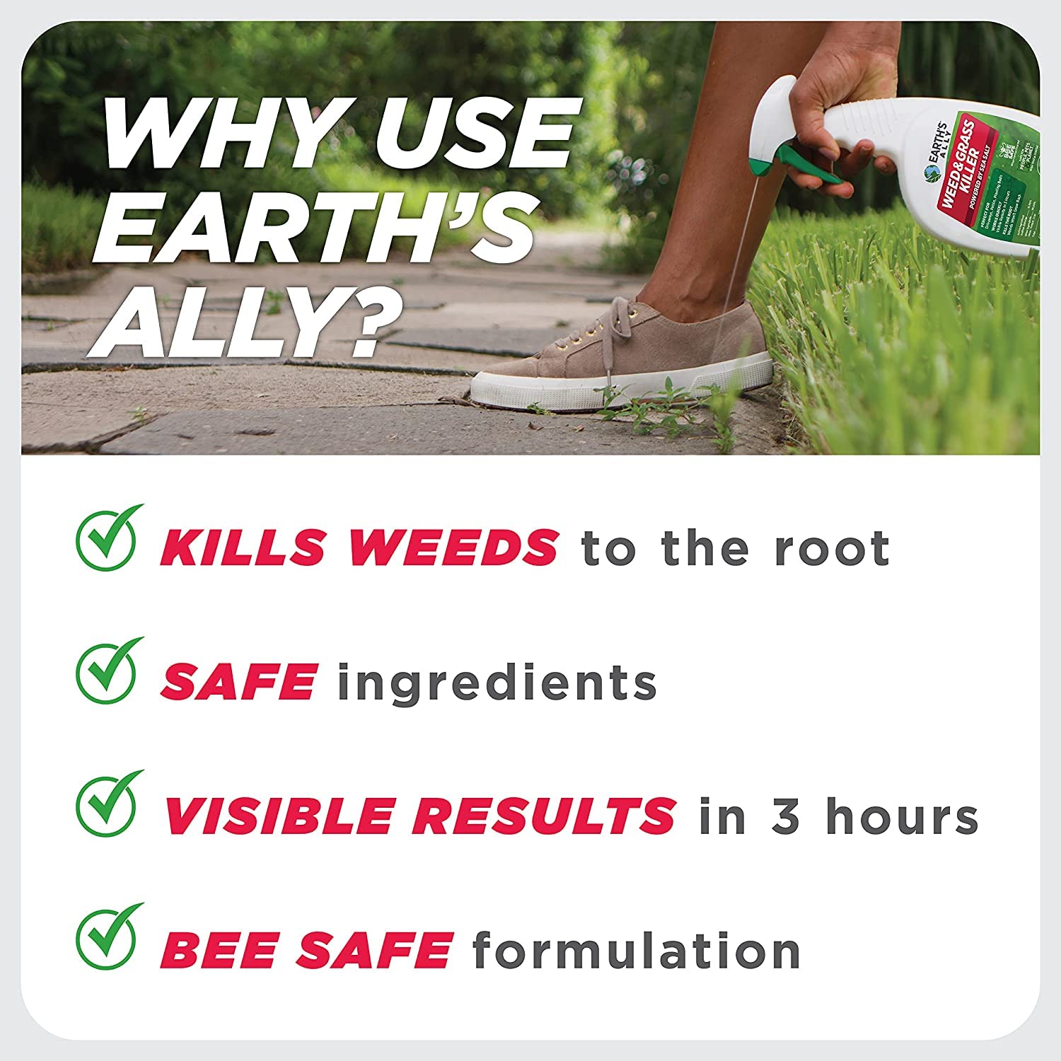Earth’s Ally weed killer applied to patio weeds for curb appeal