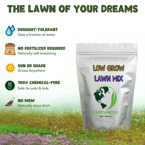 Earthwise drought-tolerant blend thriving in dry seasons with minimal watering