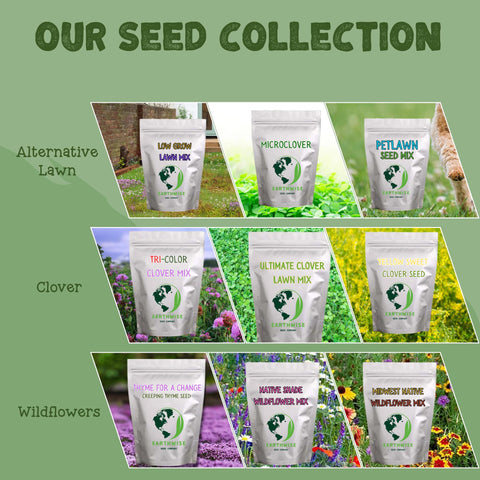 Earthwise PetLawn bare patch recovery for 400 sq ft areas