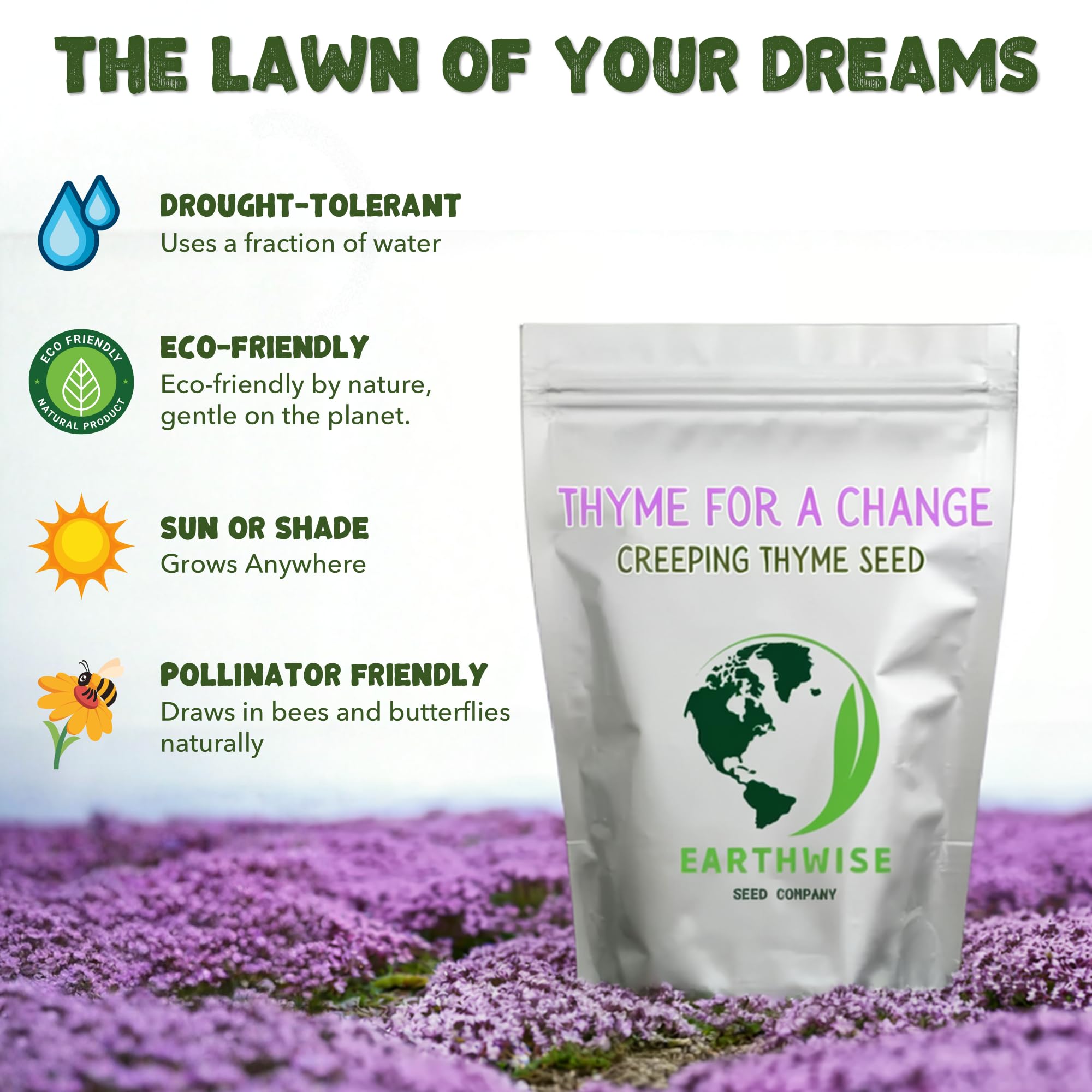 Earthwise Thyme for a Change drought-tolerant groundcover thrives with minimal watering