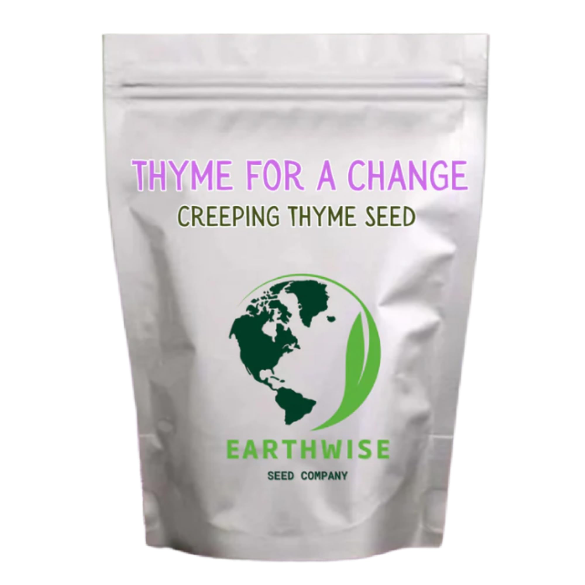 Earthwise Thyme for a Change creeping thyme groundcover forms a soft carpet for lawns