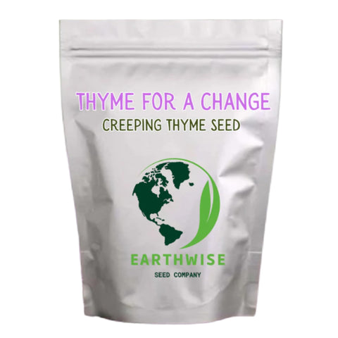 Earthwise Thyme for a Change creeping thyme groundcover forms a soft carpet for lawns