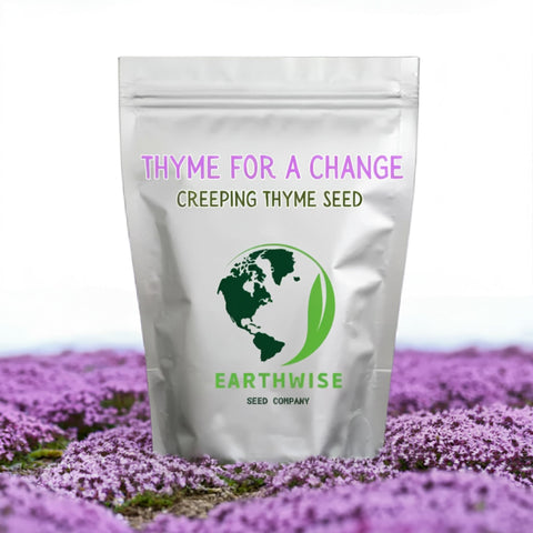 Earthwise Thyme for a Change pink blossoms brighten garden borders