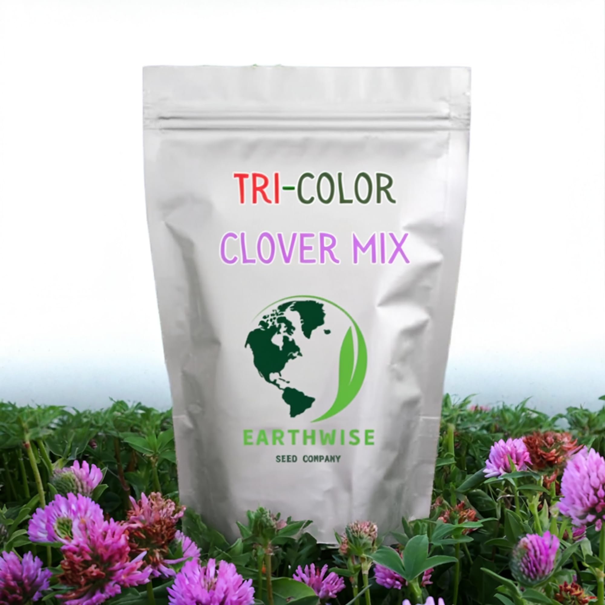 Earthwise Tri-Clover Crimson bloom, bright groundcover attracting pollinators.