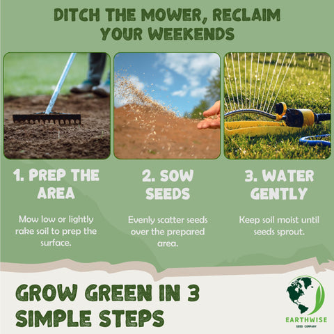 Earthwise Tri-Clover organic seed packet, chemical-free lawn seed option.