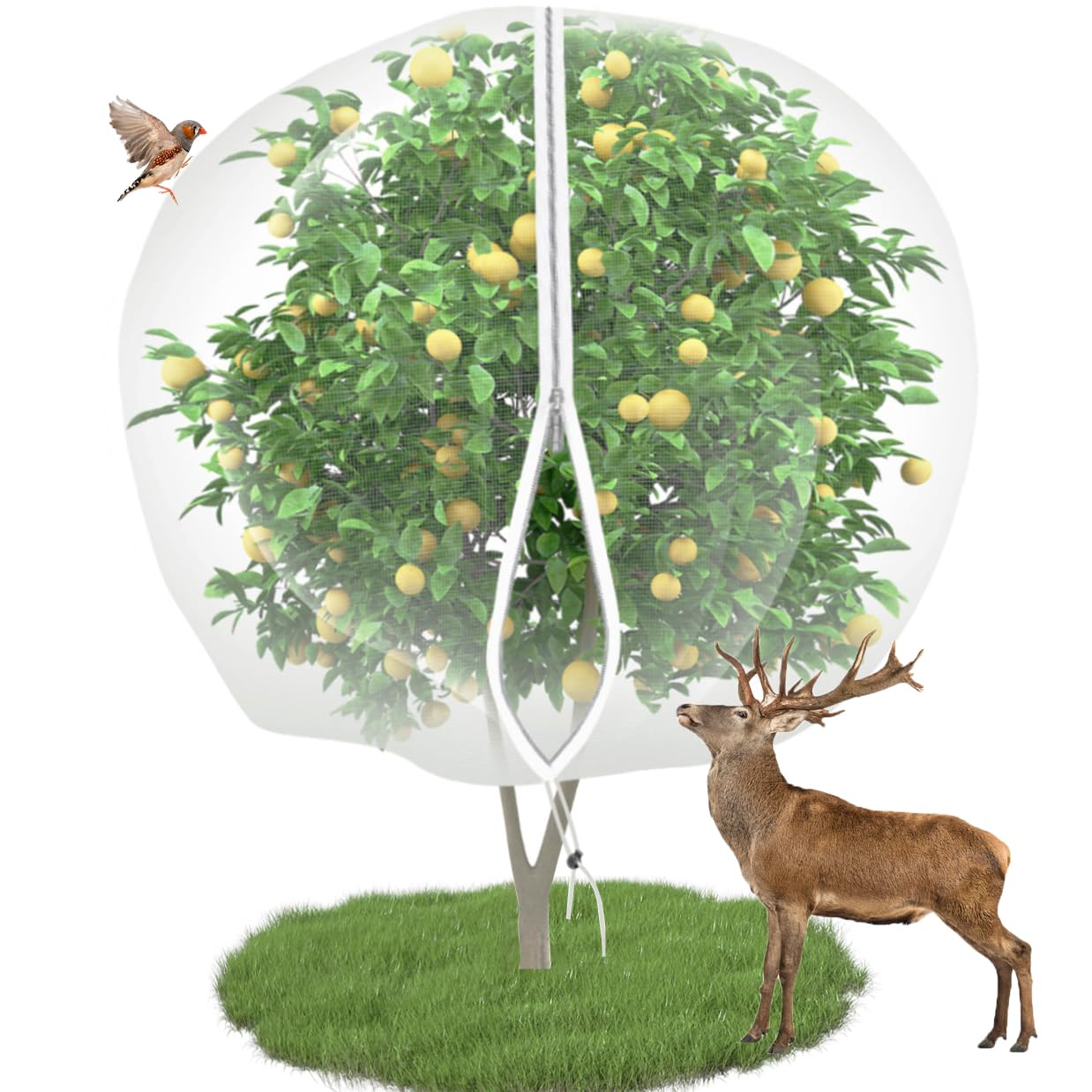 EaseThrift 10x10 fruit tree netting with zipper protects harvest from birds