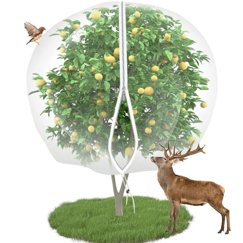 EaseThrift 10x10 fruit tree netting with zipper protects harvest from birds