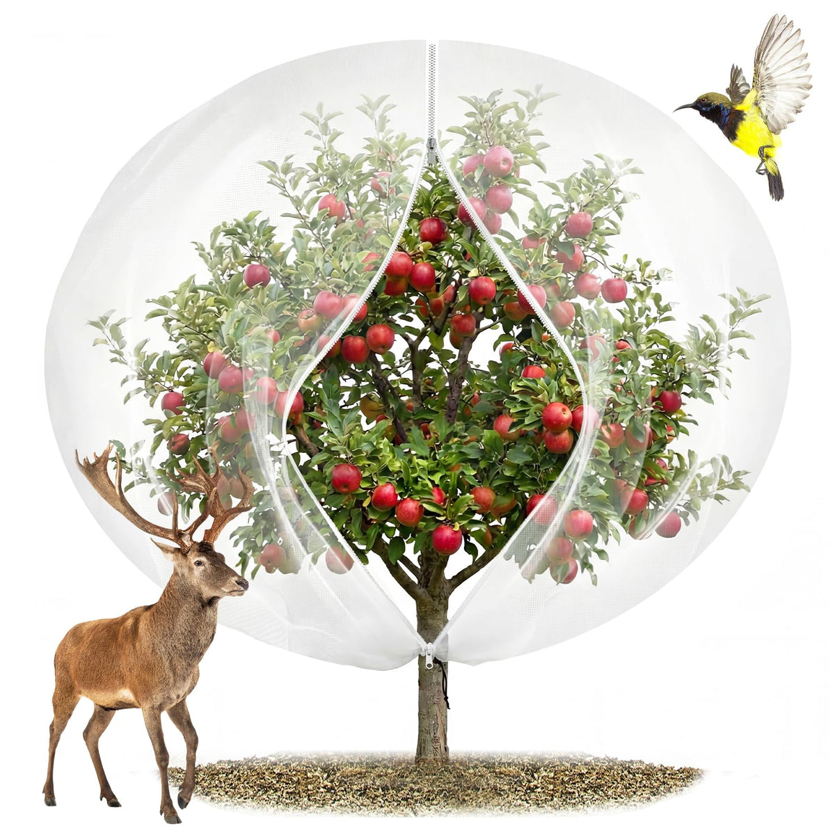 EaseThrift 12x12 fruit tree netting with drawstring and zipper shields a tree from birds.