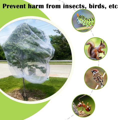 Lightweight translucent mesh by EaseThrift allows sun and rain to reach fruit trees
