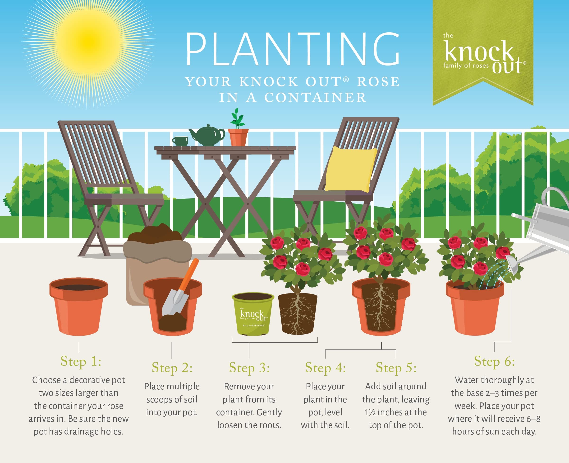 Easy Bee-zy Knock Out Rose enhances garden landscapes with color.
