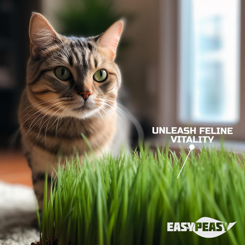 Easy Peasy CATGRASS seeds in BPA-free resealable bag for a year-long supply.
