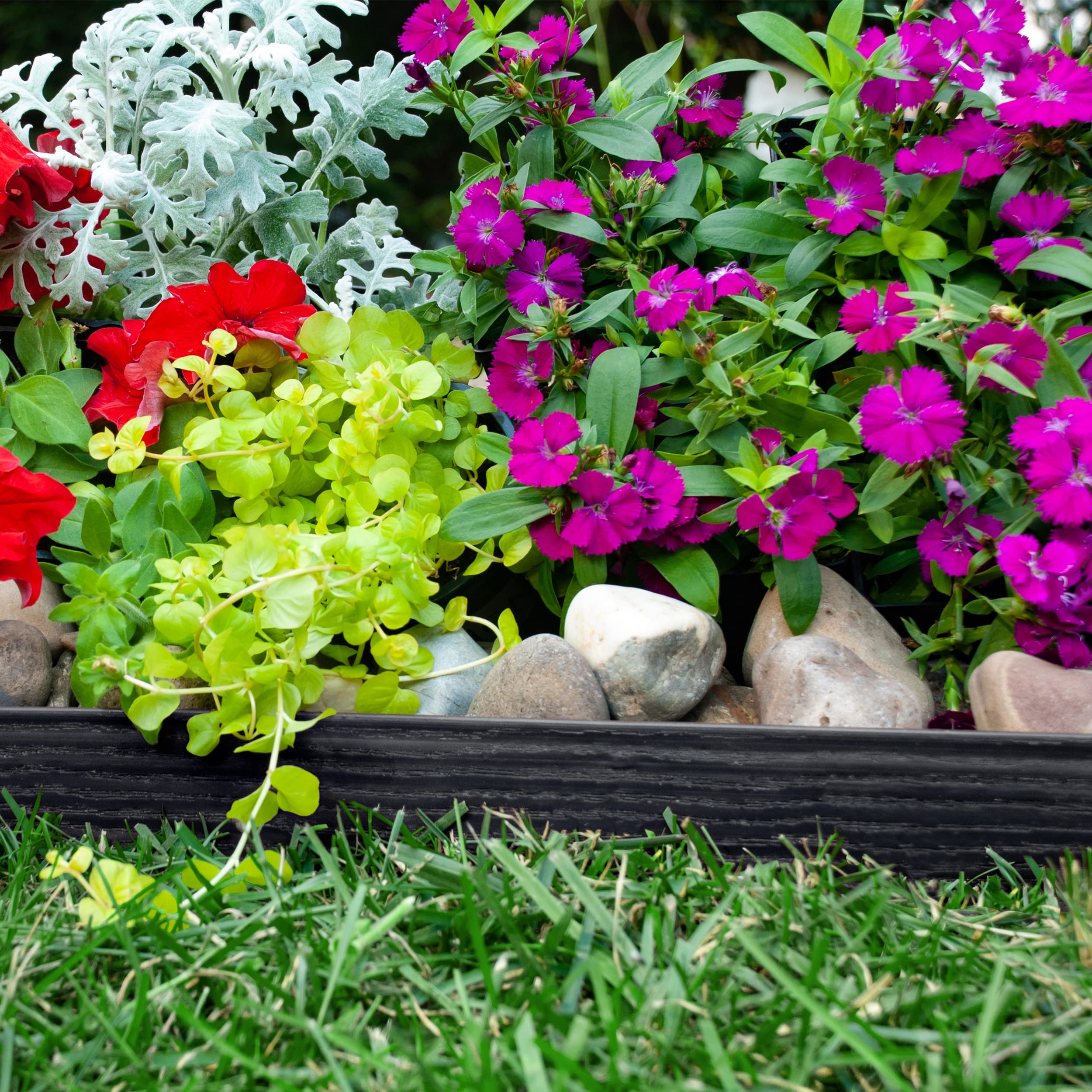 Border defines garden beds in a landscaped yard with EasyFlex edging.