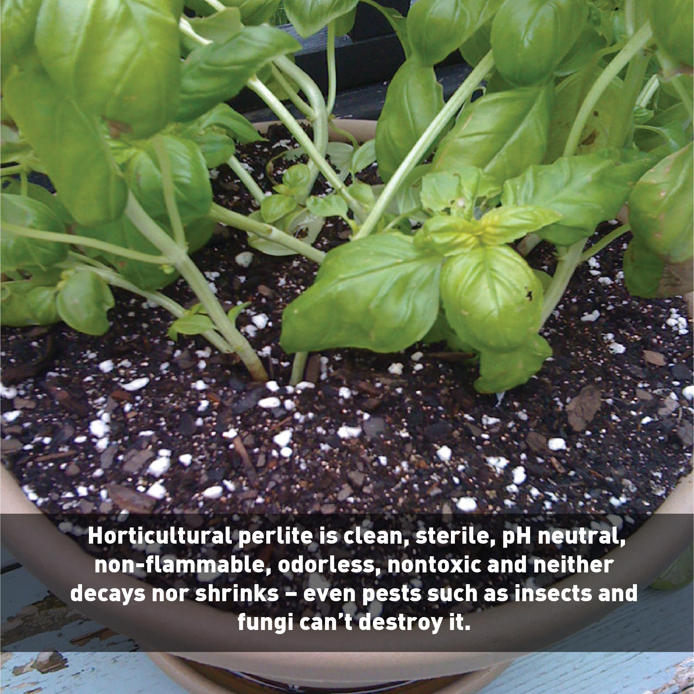 EasyGo Palmetto Perlite drainage demo shows improved soil drainage and root access.