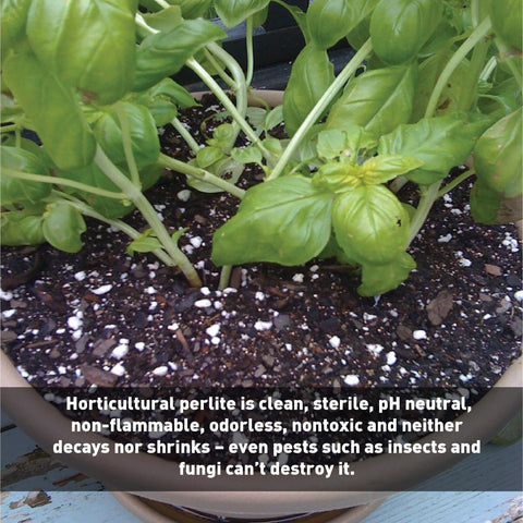 EasyGo Palmetto Perlite drainage demo shows improved soil drainage and root access.