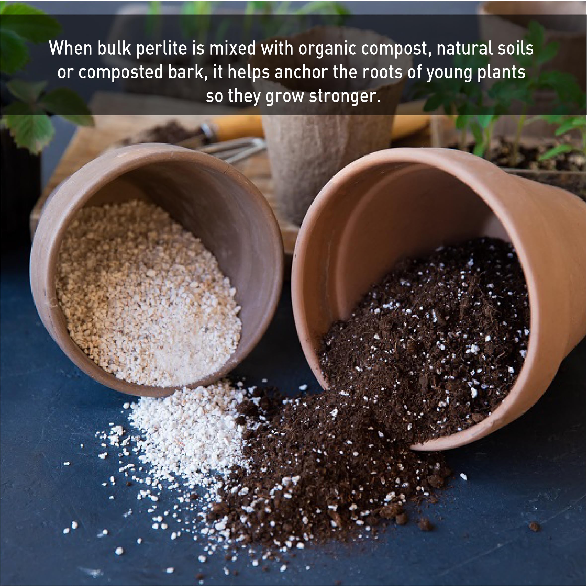 EasyGo Palmetto Perlite lightweight bag ready for effortless garden application.