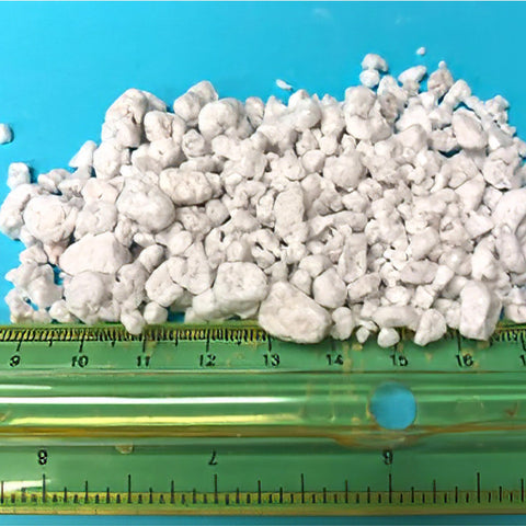 EasyGo Palmetto Perlite seed-starting setup supports germination-ready growing medium.