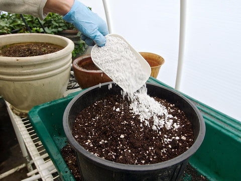 EasyGo Palmetto Perlite texture closeup highlights airy, porous structure for drainage and aeration.