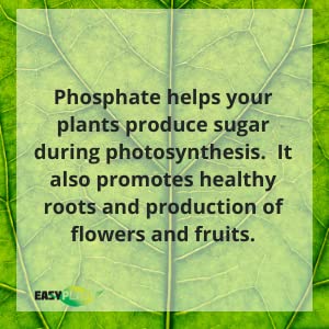 Easy Peasy phosphorus nutrient source for garden beds boosting blooms and root development.