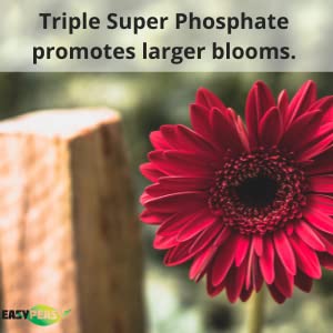 Easy Peasy tree and fruit growth support for larger blossoms.