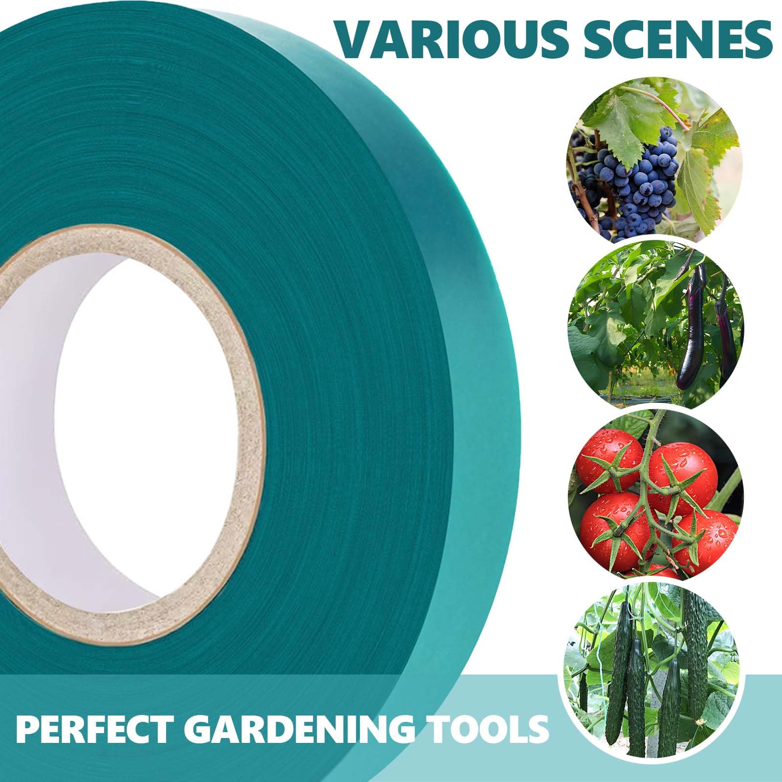 Ideal for milkweed and asters, flexible growth-friendly support.