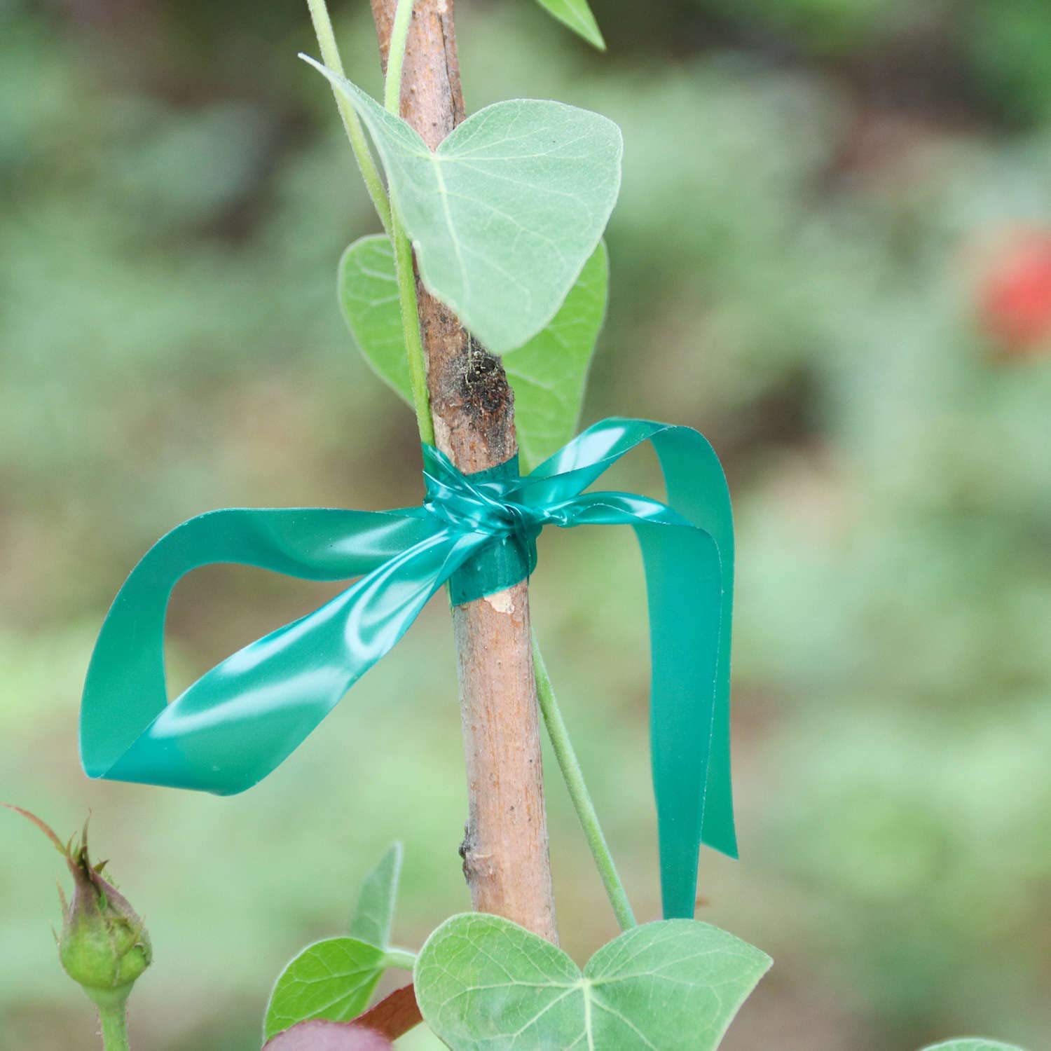 Two-pack tape extends coverage for larger garden layouts.
