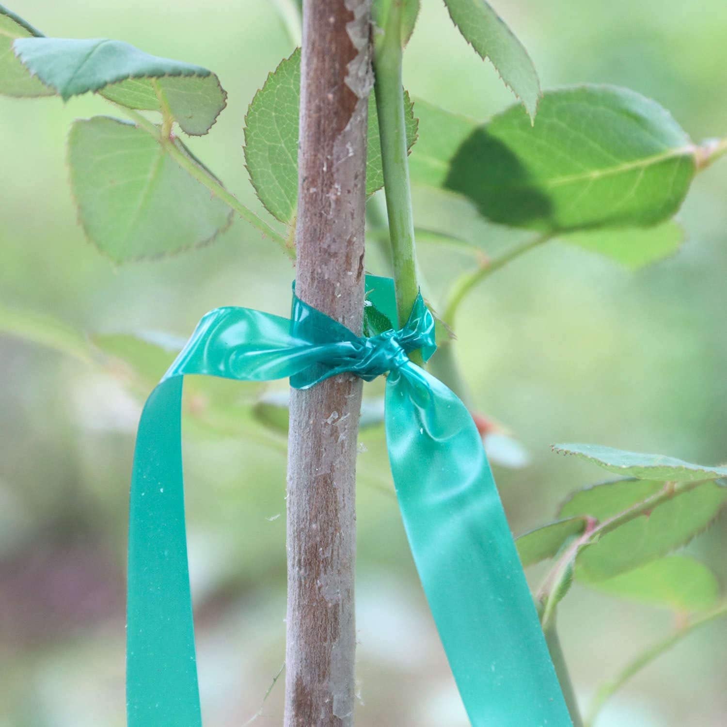 Weather-resistant Easytle tape survives sun and rain during outdoor training.