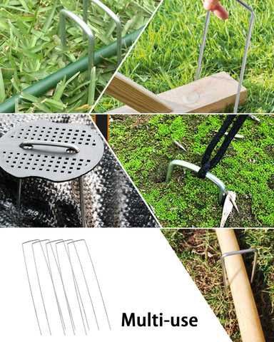 EATHEATY irrigation-tube stakes prevent movement and bending.