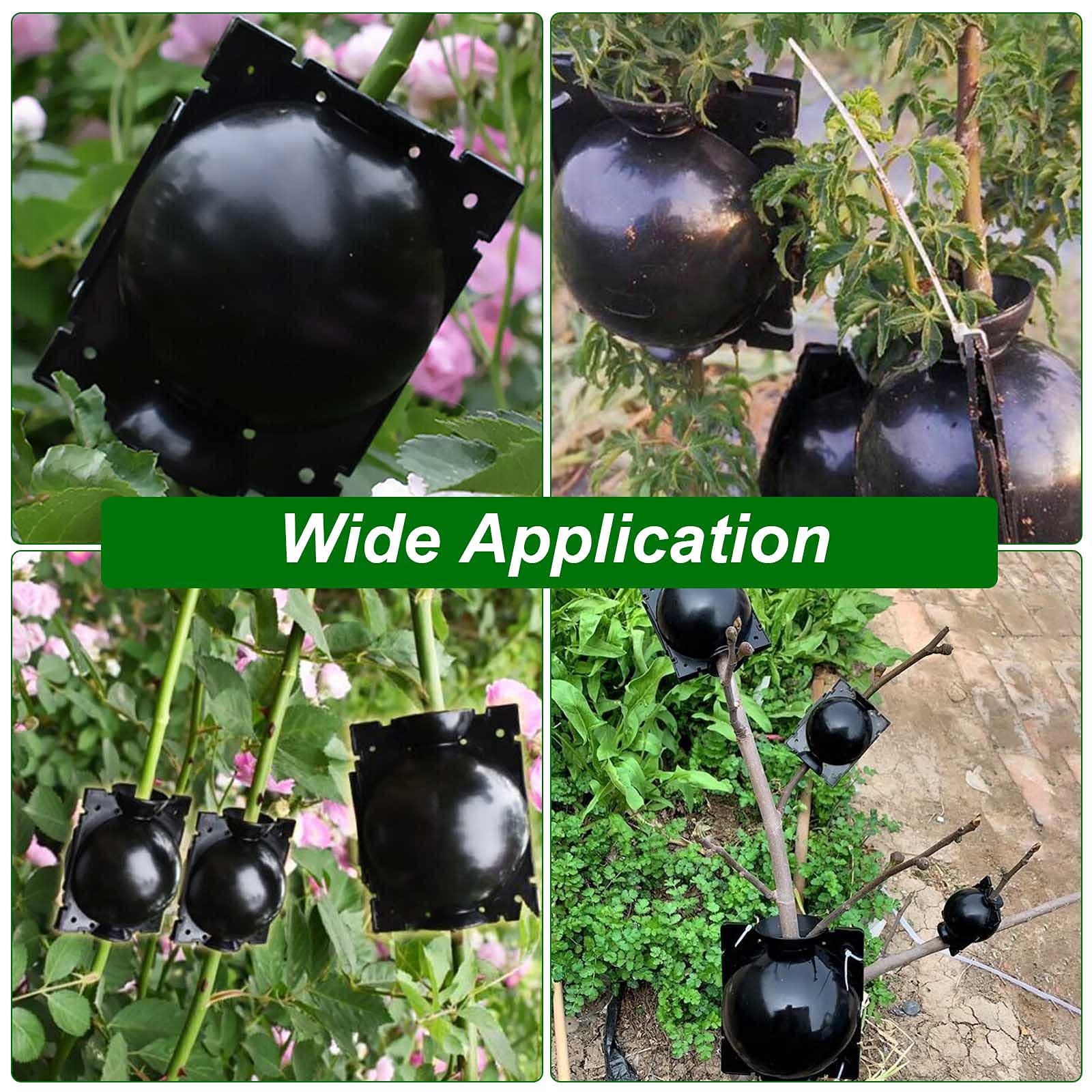 EATHEATY grafting pods enable easier cloning for magnolias, camellias, roses