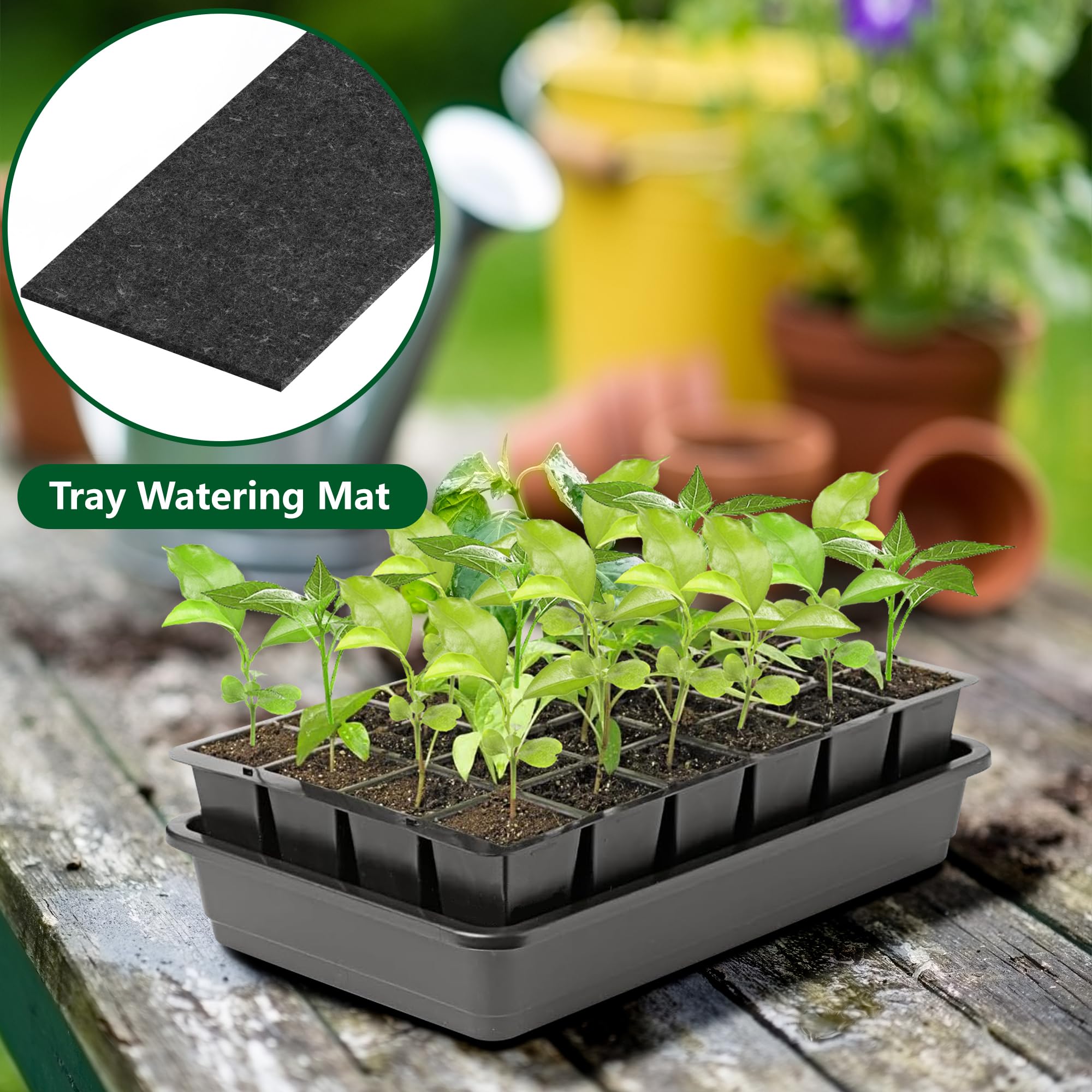 EBaokuup 24-cell seed starter tray companion supports clean, simple planting.