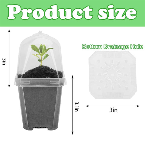EBaokuup 3-inch starter pot showing drainage holes for healthy roots