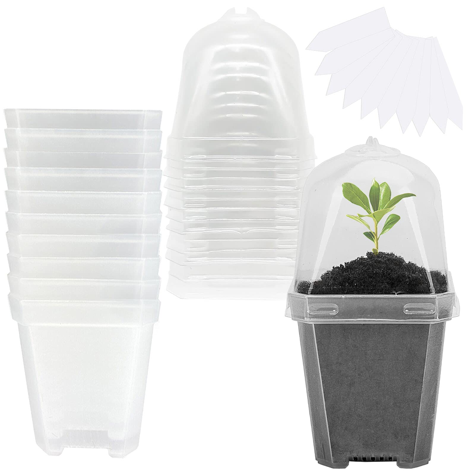 EBaokuup 3-inch clear pot with humidity dome for seedling moisture control.