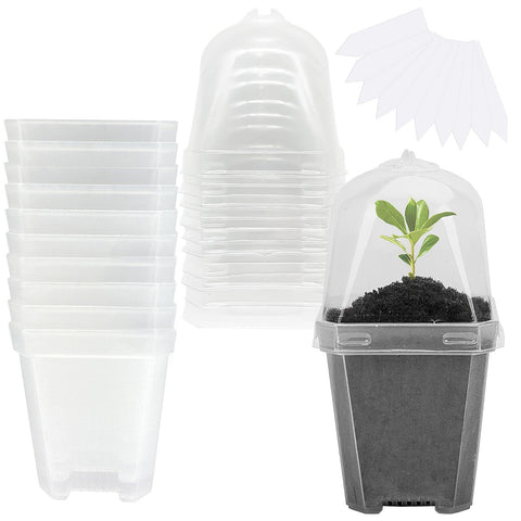 EBaokuup 3-inch clear pot with humidity dome for seedling moisture control.