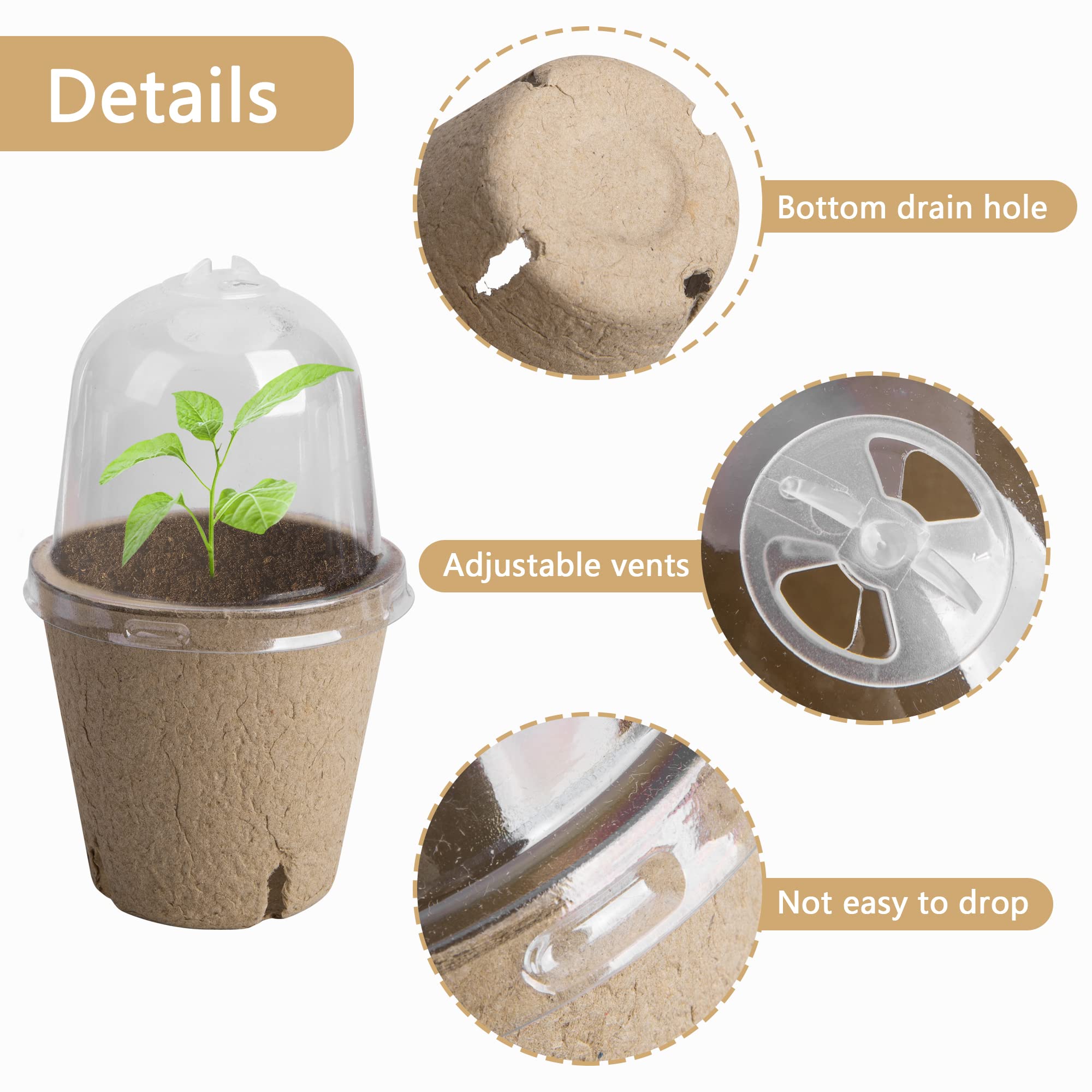 EBaokuup 3-inch nursery pot with transparent lid for monitoring.
