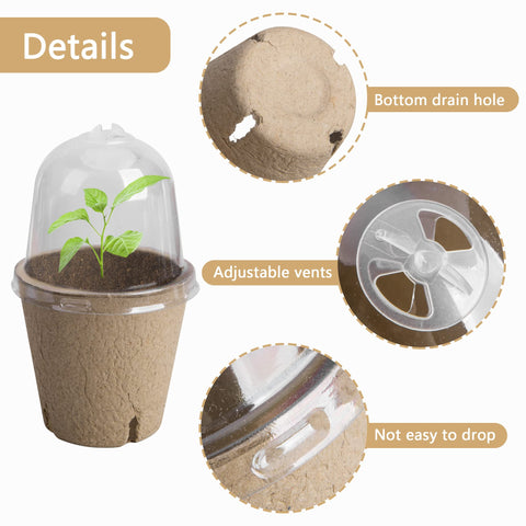 EBaokuup 3-inch nursery pot with transparent lid for monitoring.