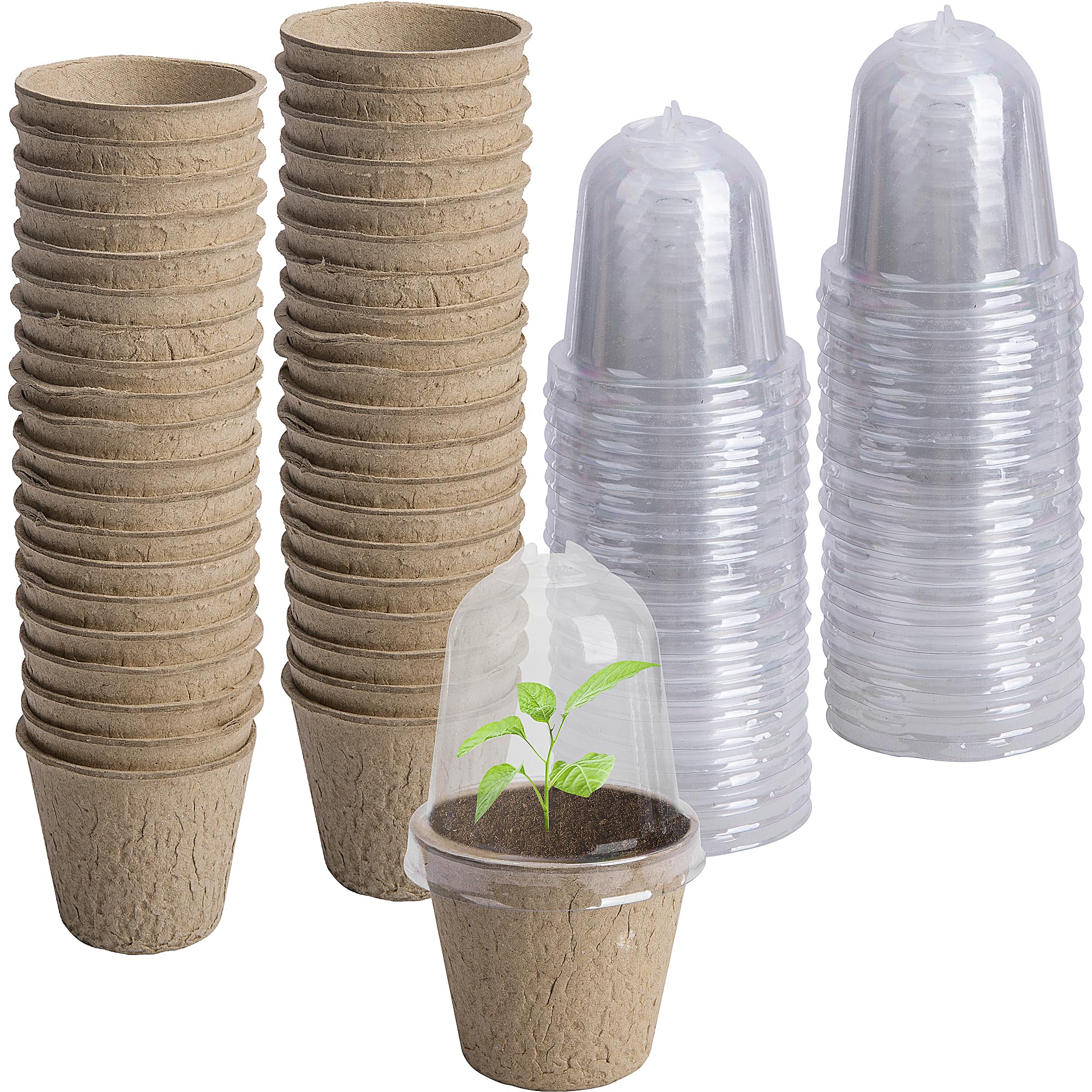 EBaokuup 40-pack biodegradable seedling pots with humidity domes enabling easy germination monitoring.