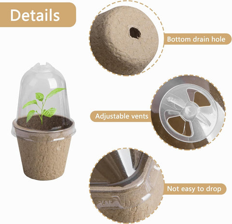 EBaokuup biodegradable pots support roots and biodegrade after planting or soil incorporation.